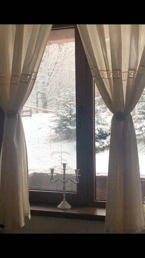 Fairytale Apartment Close To Bradu Ski Slope 포이아나브라소프 외부 사진